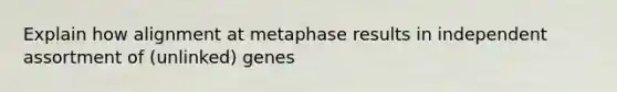 Explain how alignment at metaphase results in independent assortment of (unlinked) genes