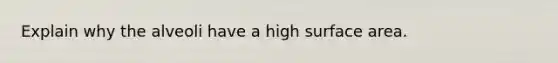 Explain why the alveoli have a high surface area.