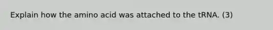 Explain how the amino acid was attached to the tRNA. (3)