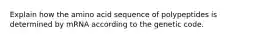 Explain how the amino acid sequence of polypeptides is determined by mRNA according to the genetic code.