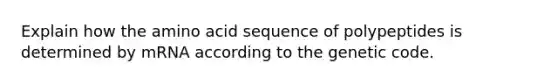 Explain how the amino acid sequence of polypeptides is determined by mRNA according to the genetic code.