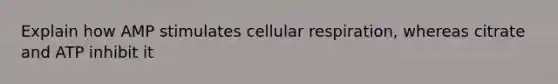 Explain how AMP stimulates cellular respiration, whereas citrate and ATP inhibit it