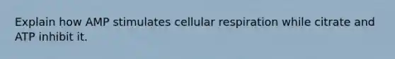 Explain how AMP stimulates cellular respiration while citrate and ATP inhibit it.