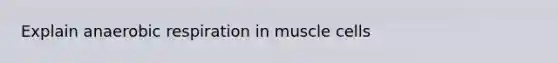 Explain anaerobic respiration in muscle cells