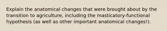 Explain the anatomical changes that were brought about by the transition to agriculture, including the masticatory-functional hypothesis (as well as other important anatomical changes!).