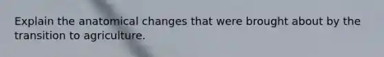 Explain the anatomical changes that were brought about by the transition to agriculture.