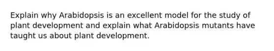 Explain why Arabidopsis is an excellent model for the study of plant development and explain what Arabidopsis mutants have taught us about plant development.