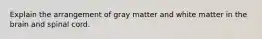 Explain the arrangement of gray matter and white matter in the brain and spinal cord.