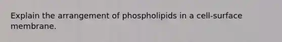 Explain the arrangement of phospholipids in a cell-surface membrane.