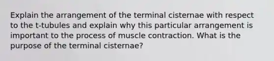 Explain the arrangement of the terminal cisternae with respect to the t-tubules and explain why this particular arrangement is important to the process of muscle contraction. What is the purpose of the terminal cisternae?