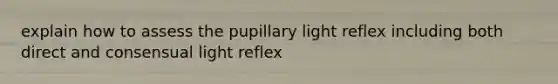 explain how to assess the pupillary light reflex including both direct and consensual light reflex