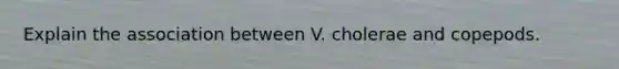 Explain the association between V. cholerae and copepods.