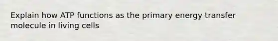 Explain how ATP functions as the primary energy transfer molecule in living cells