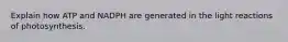 Explain how ATP and NADPH are generated in the light reactions of photosynthesis.