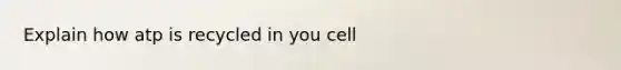 Explain how atp is recycled in you cell