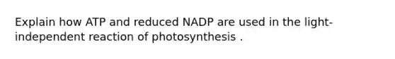 Explain how ATP and reduced NADP are used in the light-independent reaction of photosynthesis .