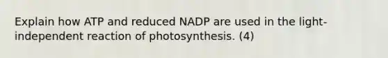 Explain how ATP and reduced NADP are used in the light-independent reaction of photosynthesis. (4)