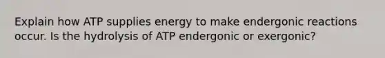 Explain how ATP supplies energy to make endergonic reactions occur. Is the hydrolysis of ATP endergonic or exergonic?