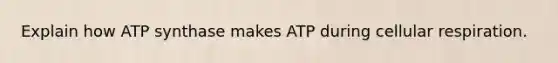 Explain how ATP synthase makes ATP during cellular respiration.