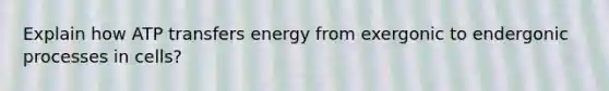 Explain how ATP transfers energy from exergonic to endergonic processes in cells?