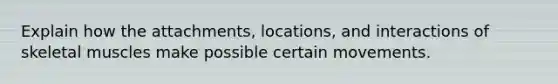 Explain how the attachments, locations, and interactions of skeletal muscles make possible certain movements.