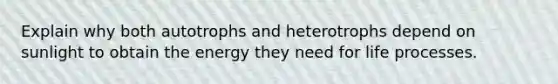 Explain why both autotrophs and heterotrophs depend on sunlight to obtain the energy they need for life processes.