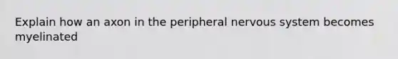 Explain how an axon in the peripheral nervous system becomes myelinated