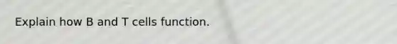 Explain how B and T cells function.