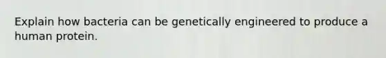 Explain how bacteria can be genetically engineered to produce a human protein.