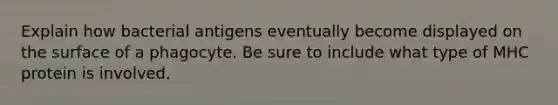 Explain how bacterial antigens eventually become displayed on the surface of a phagocyte. Be sure to include what type of MHC protein is involved.