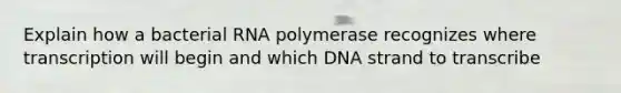 Explain how a bacterial RNA polymerase recognizes where transcription will begin and which DNA strand to transcribe