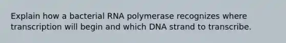 Explain how a bacterial RNA polymerase recognizes where transcription will begin and which DNA strand to transcribe.