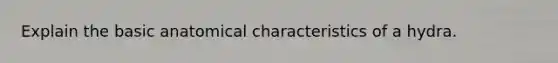 Explain the basic anatomical characteristics of a hydra.