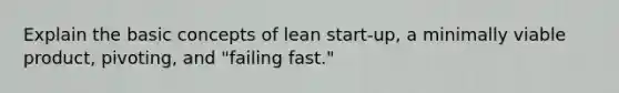 Explain the basic concepts of lean start-up, a minimally viable product, pivoting, and "failing fast."