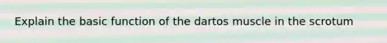 Explain the basic function of the dartos muscle in the scrotum