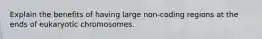 Explain the benefits of having large non-coding regions at the ends of eukaryotic chromosomes.