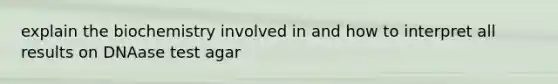 explain the biochemistry involved in and how to interpret all results on DNAase test agar