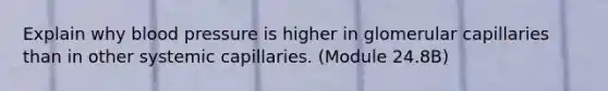 Explain why blood pressure is higher in glomerular capillaries than in other systemic capillaries. (Module 24.8B)