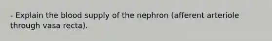 - Explain the blood supply of the nephron (afferent arteriole through vasa recta).