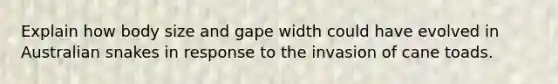 Explain how body size and gape width could have evolved in Australian snakes in response to the invasion of cane toads.