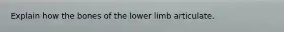 Explain how the bones of the lower limb articulate.