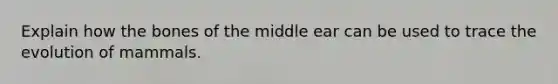 Explain how the bones of the middle ear can be used to trace the evolution of mammals.