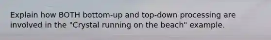 Explain how BOTH bottom-up and top-down processing are involved in the "Crystal running on the beach" example.