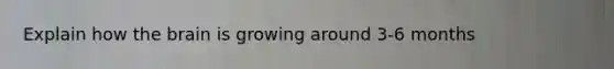 Explain how <a href='https://www.questionai.com/knowledge/kLMtJeqKp6-the-brain' class='anchor-knowledge'>the brain</a> is growing around 3-6 months