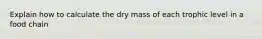 Explain how to calculate the dry mass of each trophic level in a food chain