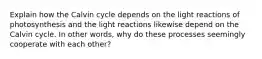 Explain how the Calvin cycle depends on the light reactions of photosynthesis and the light reactions likewise depend on the Calvin cycle. In other words, why do these processes seemingly cooperate with each other?