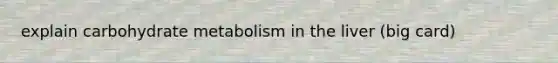 explain carbohydrate metabolism in the liver (big card)