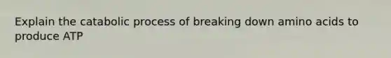 Explain the catabolic process of breaking down amino acids to produce ATP