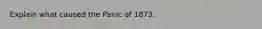 Explain what caused the Panic of 1873.