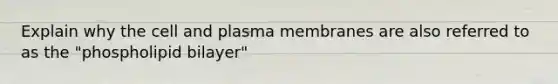 Explain why the cell and plasma membranes are also referred to as the "phospholipid bilayer"